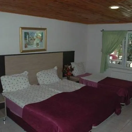 Altinkum
